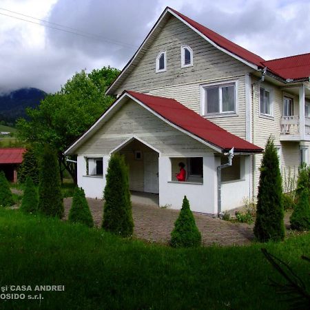 Villa Casa Andrei Vatra Dornei Dealu Floreni Exterior foto