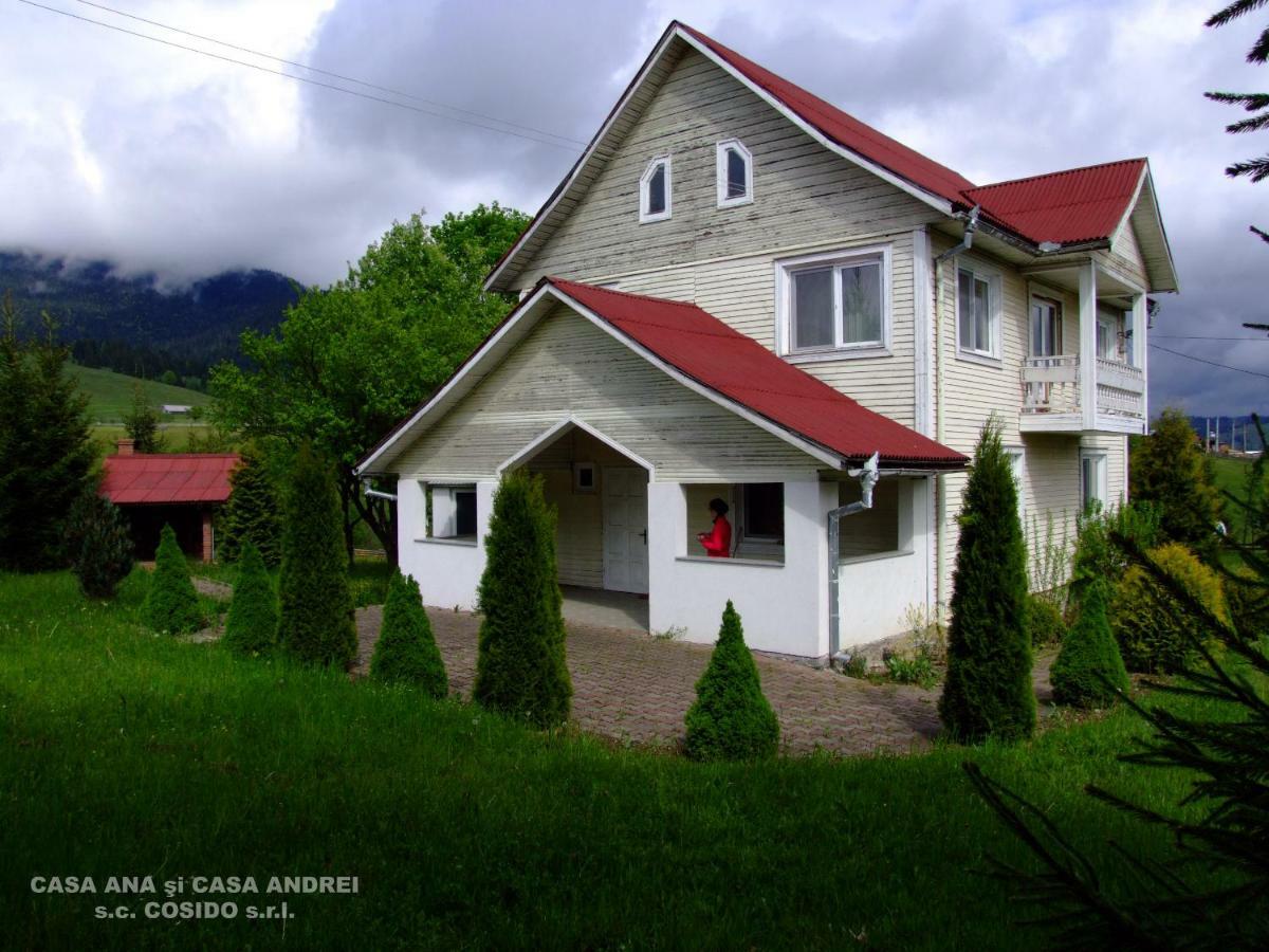 Villa Casa Andrei Vatra Dornei Dealu Floreni Exterior foto